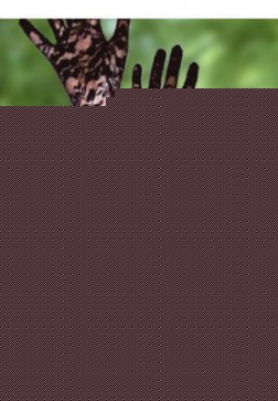 Floral Full Lace Elbow Length Gloves