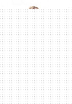 Sleeveless And Strapless Clubwear