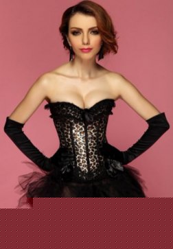 Lace Trimmed Leopard Prints Boning Bustier