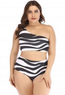 Plus Size Zebra Print Two Piece Swimsuit