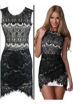 Luxury  Sleeveless Embroideried Hollow-Out Crochet Lace Mini Dress