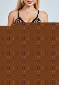 Playfully Wild Mesh Teddy