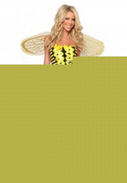 Stunning Honey Bee Costume