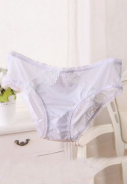 Sexy Sheer Mesh Panty