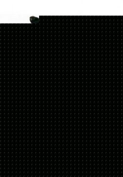 Las Vegas Bunny Costume (XXL size available)