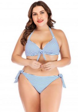 Plus Size Striped Bikini Set