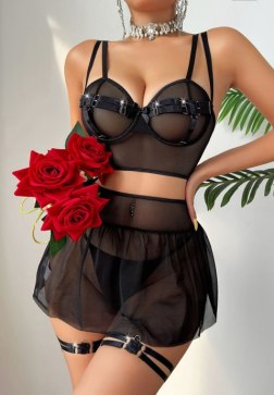 Secret Affair Mesh Skirt Set