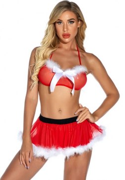 Ho Ho Hottie Lingerie Costume