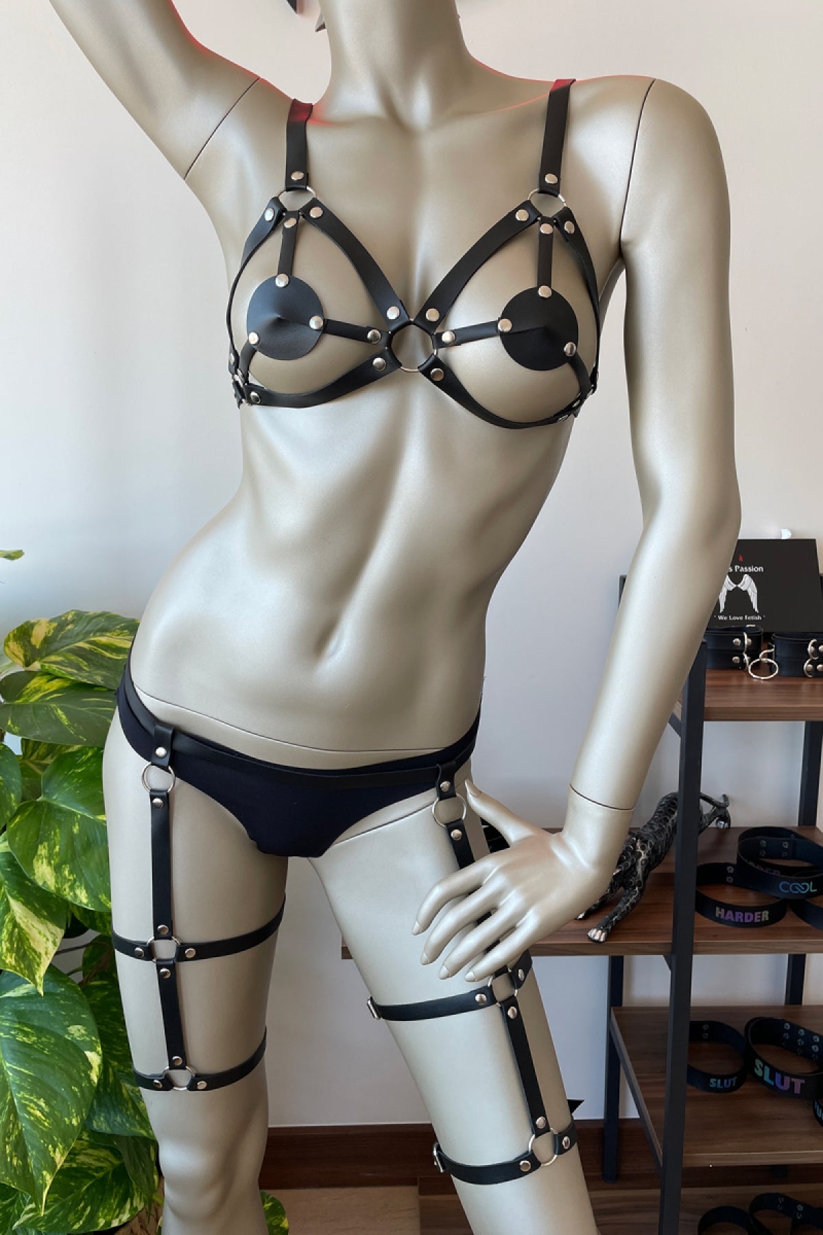 Peak-A Boo Fancy Women Fetish Wear